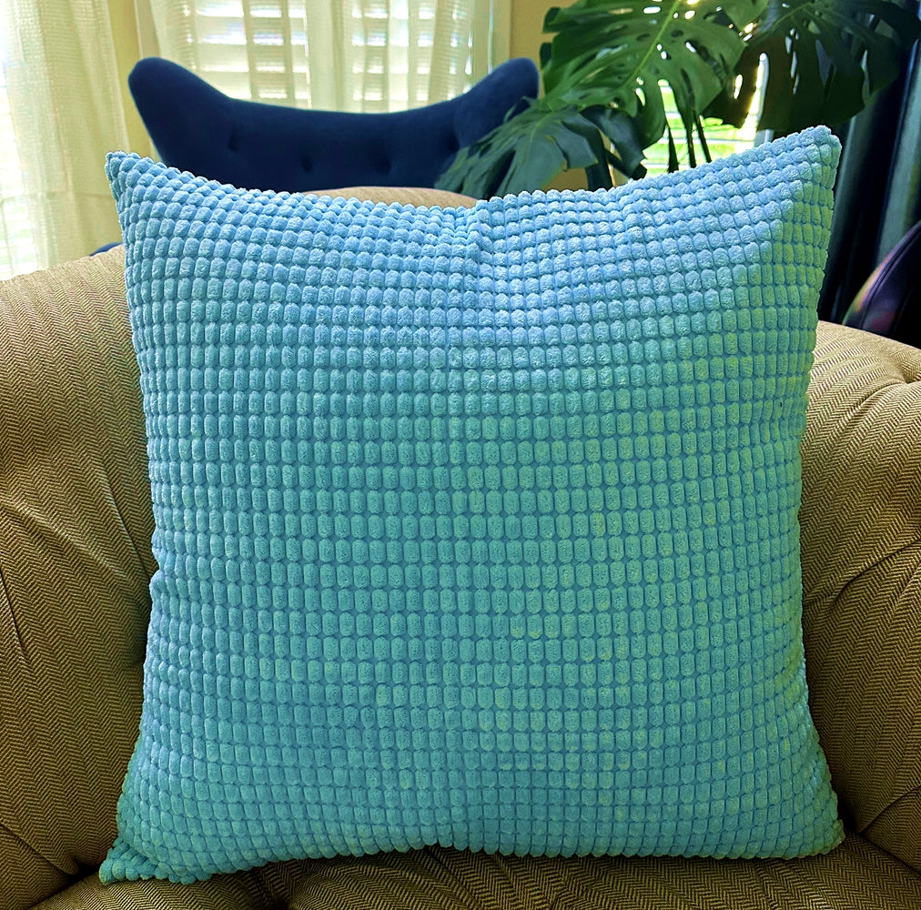 Set of 2 Polyester Blend soft hand feeling Pillow (With or Without Inserts) 4 sizes options