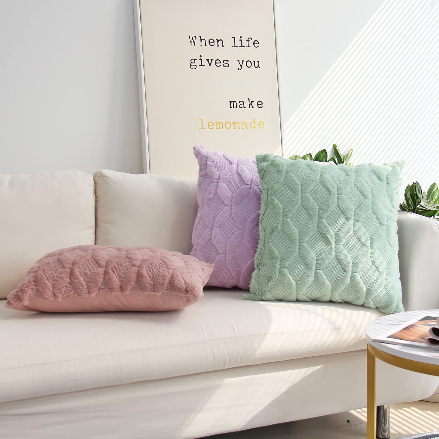 Set of 2 Plush Throw Pillow (With/Without Inserts) size 18"x18" pack of 2 throw pillows