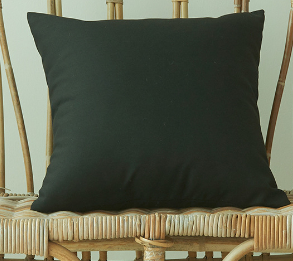 Solid Color Outdoor Waterproof Throw Pillow cover AND Insert  Square or Rectangle