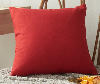 Solid Color Outdoor Waterproof Throw Pillow cover AND Insert  Square or Rectangle
