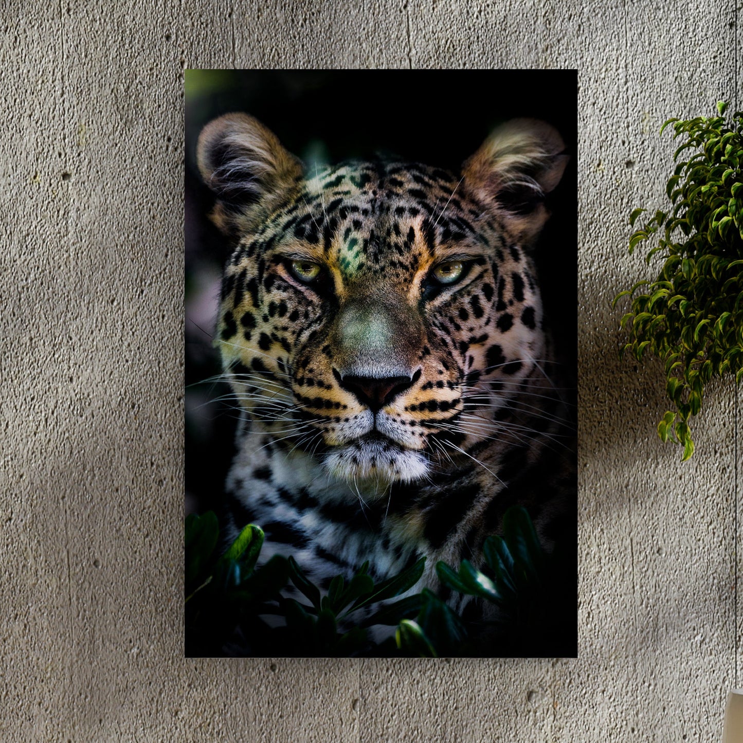 Sneaky Jungle Leopard Portrait Canvas Wall Art
