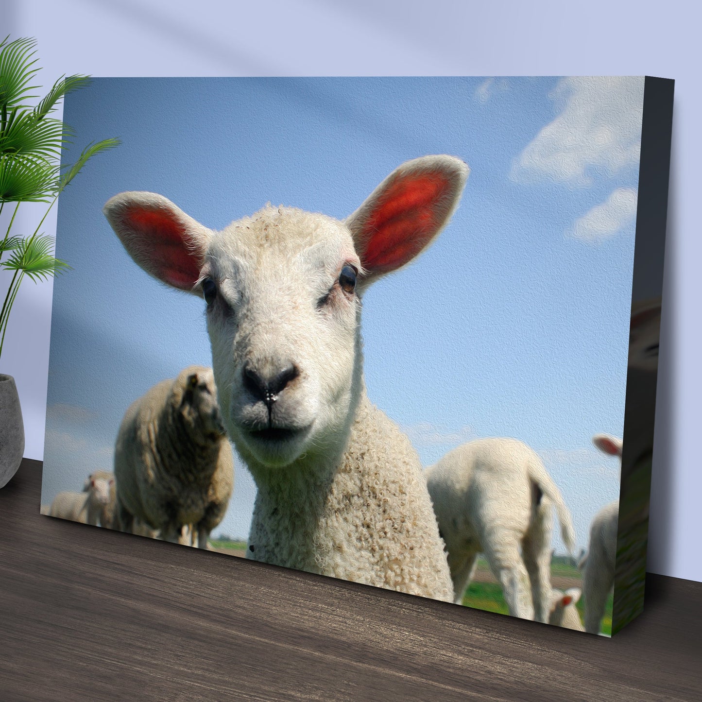 Curious Lamb Canvas Wall Art