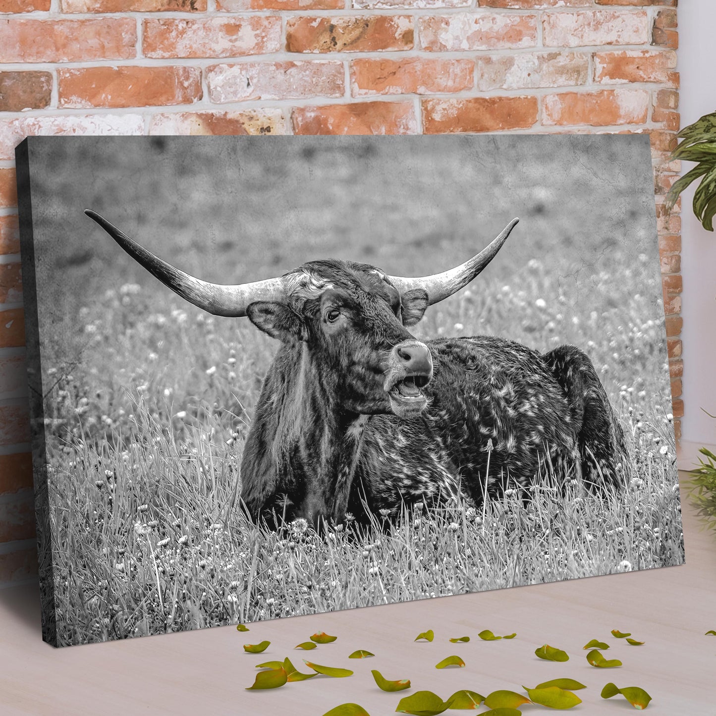 Black And White Longhorn Bull Canvas Wall Art