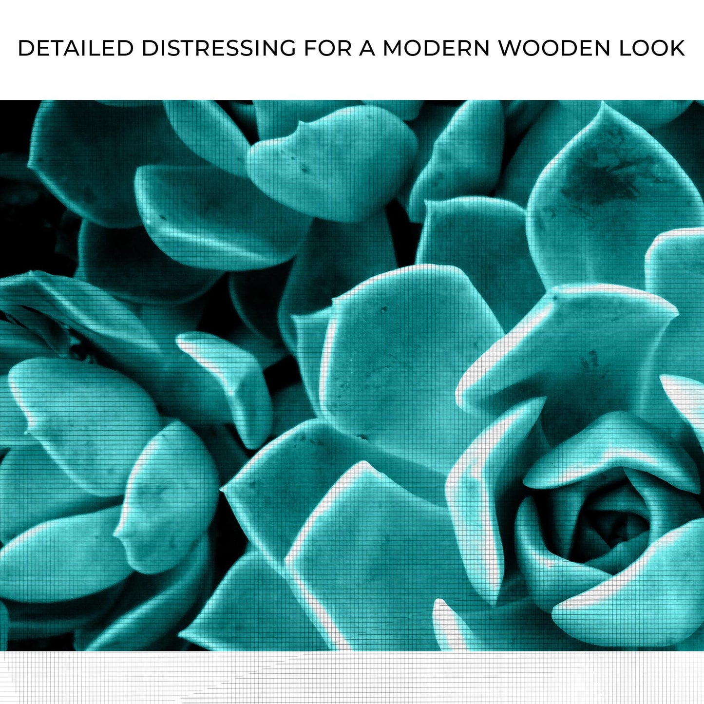 Teal Rose Succulent Canvas Wall Art II