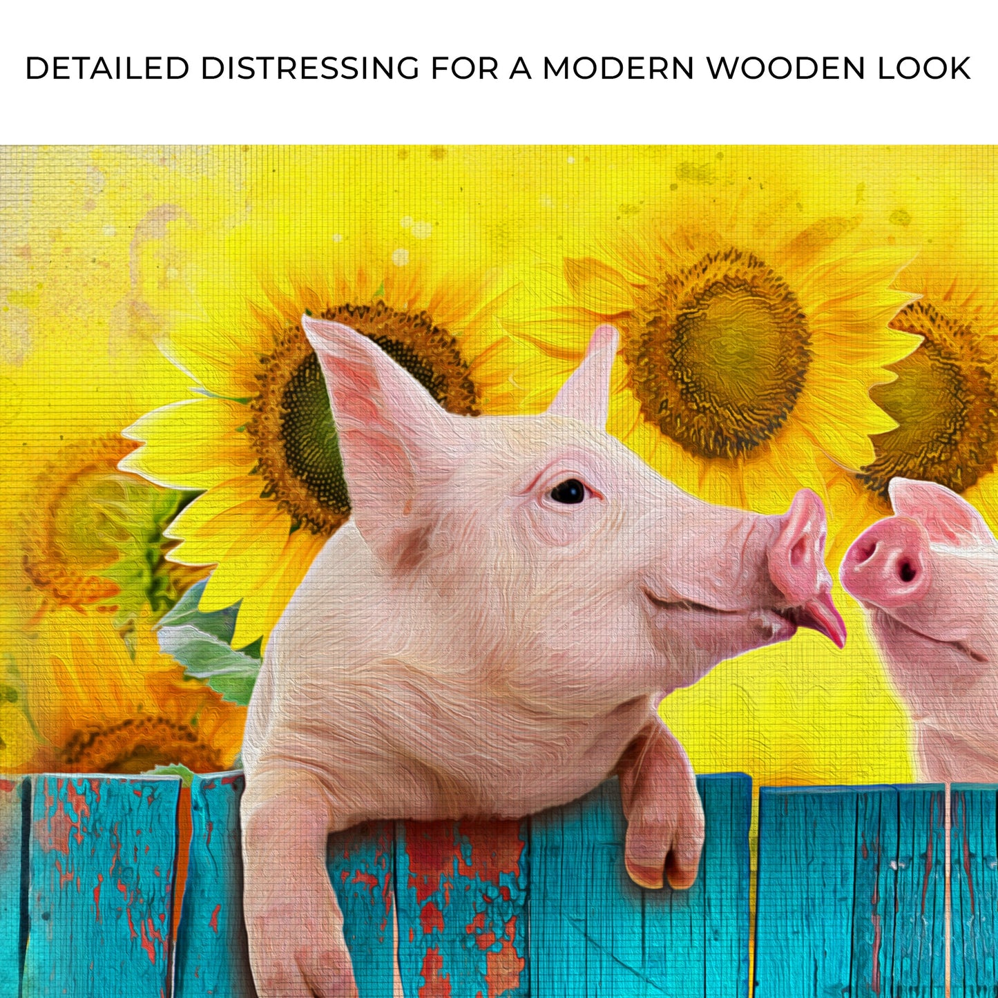 Sunflower Pigs Canvas Wall Art