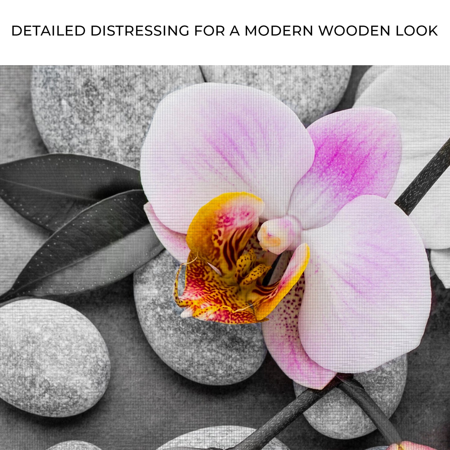 Fresh White Orchid Flower Canvas Wall Art