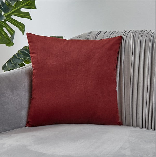 20''x20'' luxe velvet throw pillow | 17 colors soft & elegant solid design | modern couch & bedroom accent | insert included
