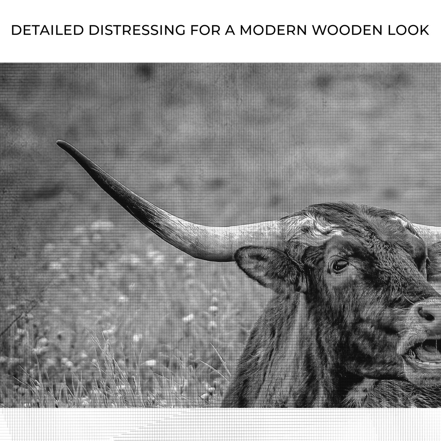 Black And White Longhorn Bull Canvas Wall Art