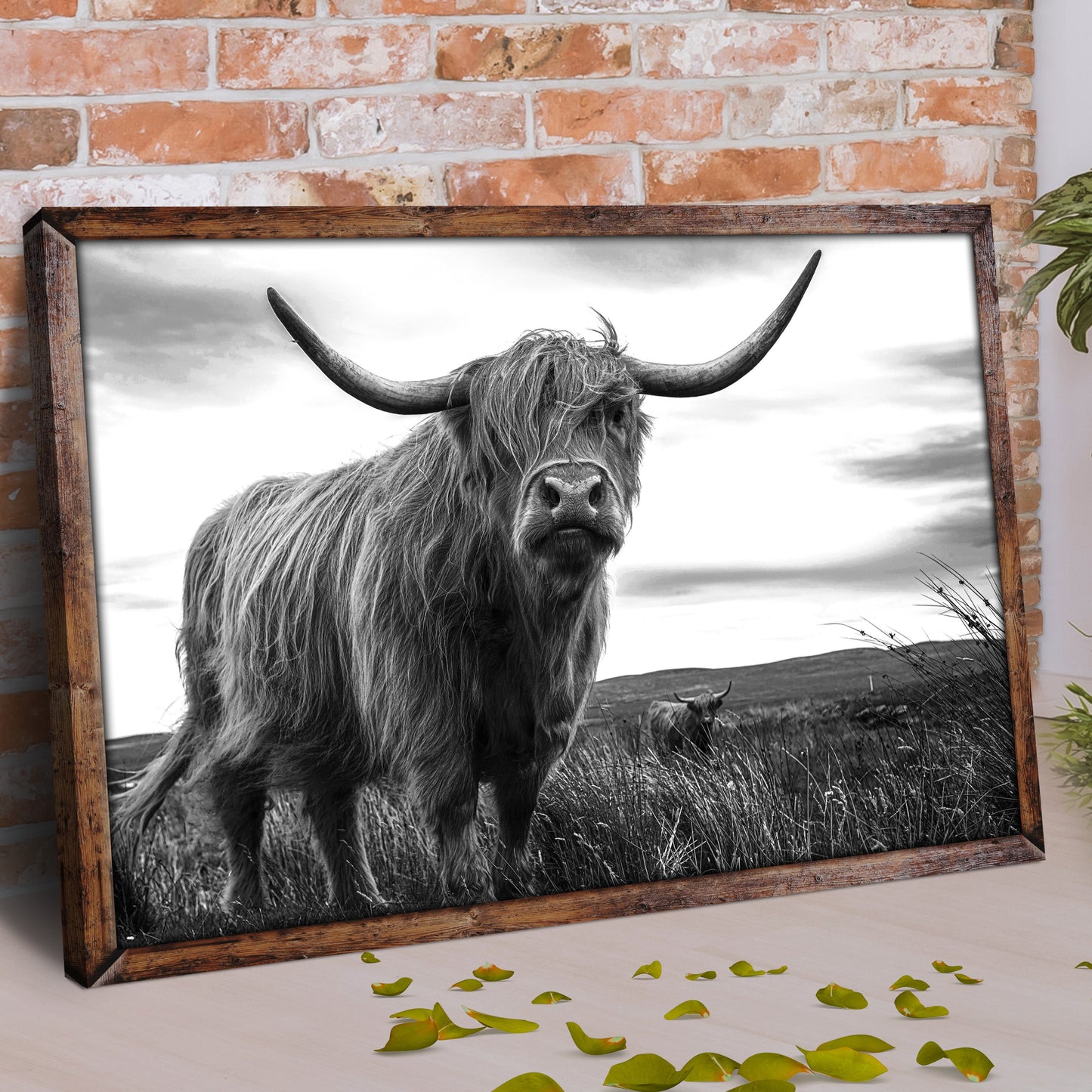 Highland Cow Black And White Portrait Canvas Wall Art