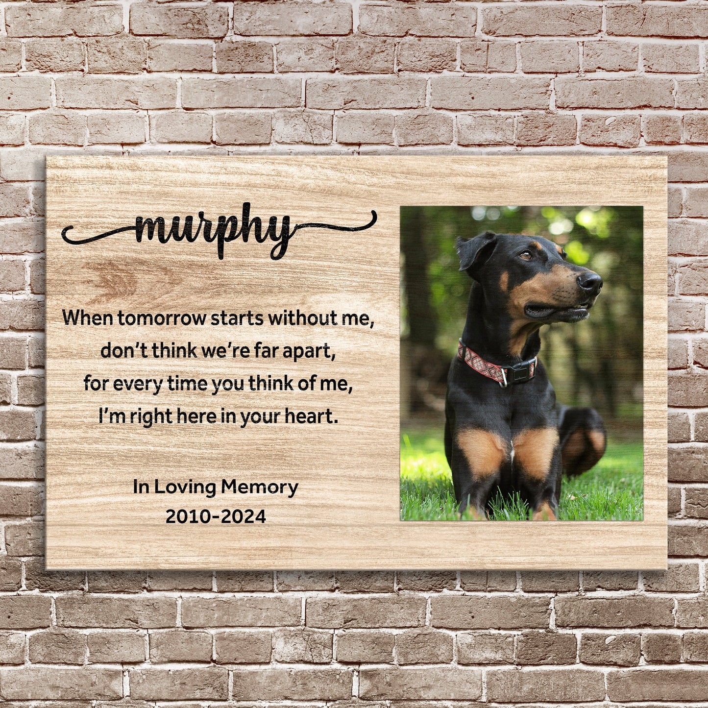 Pet Memorial Sign When Tomorrow Starts Without Me II